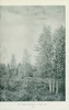 wildflowersofwes0000mcca_Page_029.jp2.thumbnail.jpg