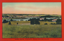 2341-Thumbnail Image.jpg