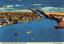 3360-Thumbnail Image.jpg
